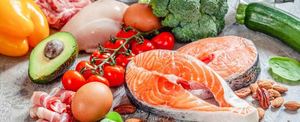 Cardápio Low Carb Semanal